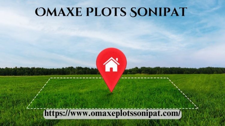 Omaxe Plots Sonipat | Property For Investment