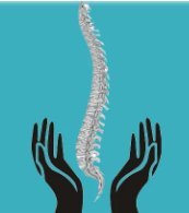 "Top Spine Surgeon in Bangalore: Expert Care for Your Spine Health"