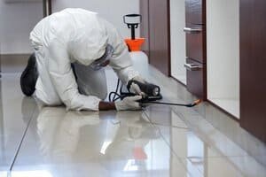 Top 7 Benefits of Choosing North Star Pest Control