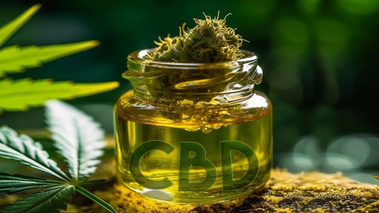 1000mg CBD Oil: The Ideal Dosage for Pain and Anxiety?