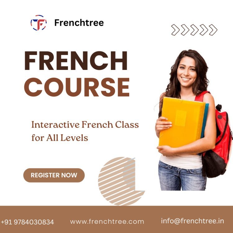 Discover the Best French Language Courses for All Levels