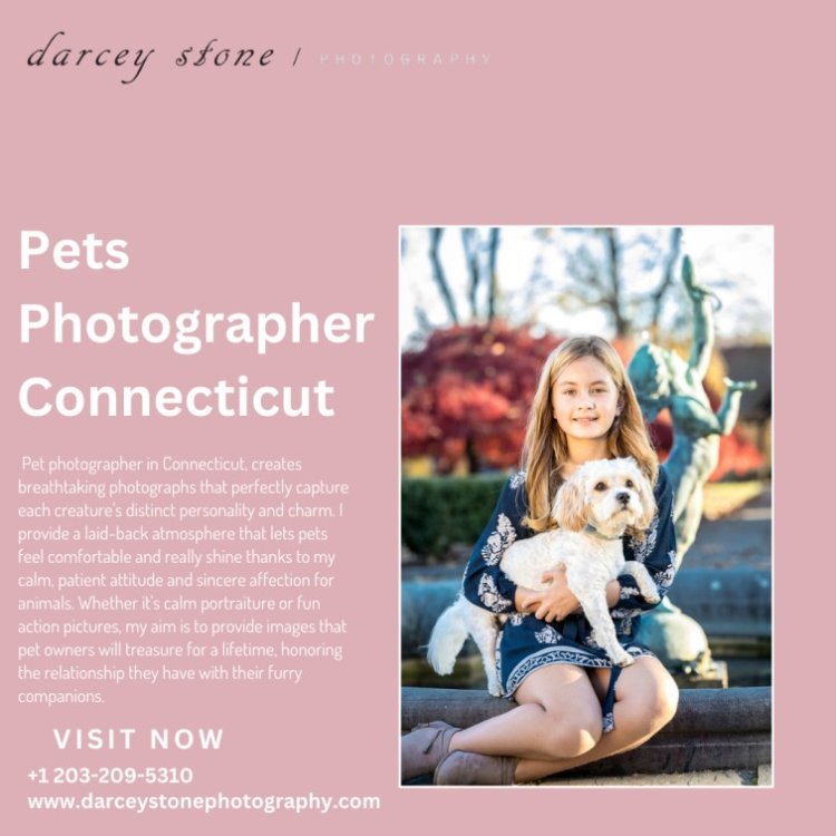 Pets Photographer Connecticut - Make Your Pet a Star with Stunning Portraits!