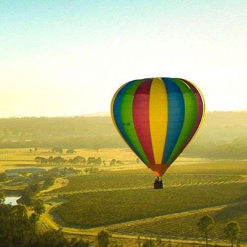 Explore the Best Hunter Valley Wine Tours