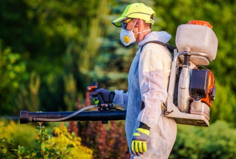 Why 90% of Lansing Homeowners Choose Residential Pest Control