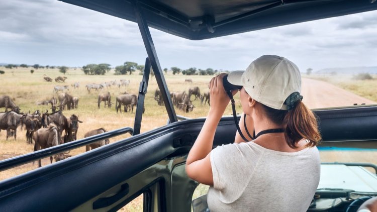 How To Find The Right Private Safari Guide For You