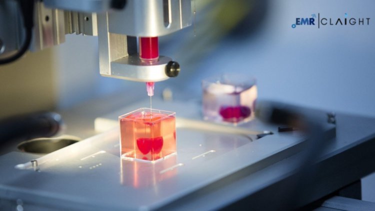 Global 3D Bioprinted Human Tissue Market Share, Size, Report & Outlook | 2034