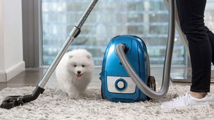 The Comfort Impact of Professional Carpet Cleaning