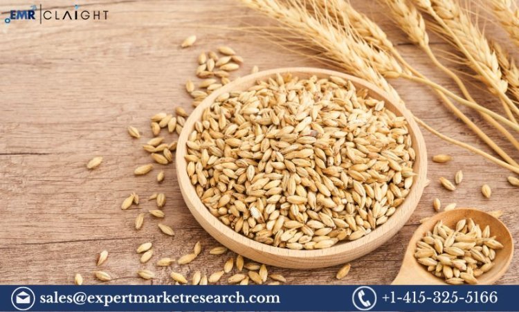 Barley Market Size, Share, Trends and Report | 2034