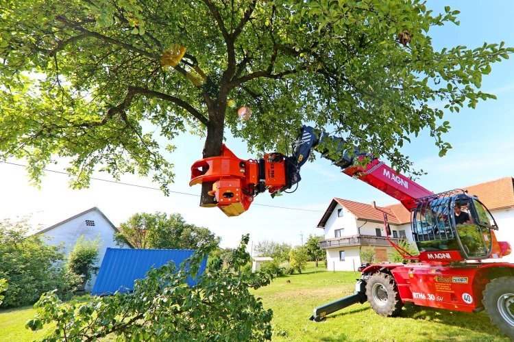 The Ultimate Guide to Advanced Tree Service for Homeowners