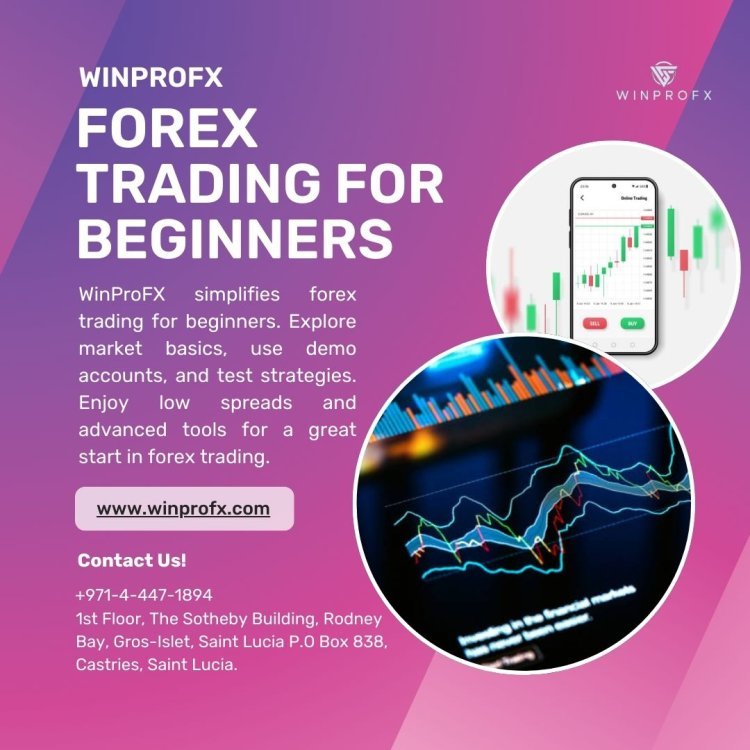 Can You Learn Forex Trading Strategies as a Beginner with WinProFx?