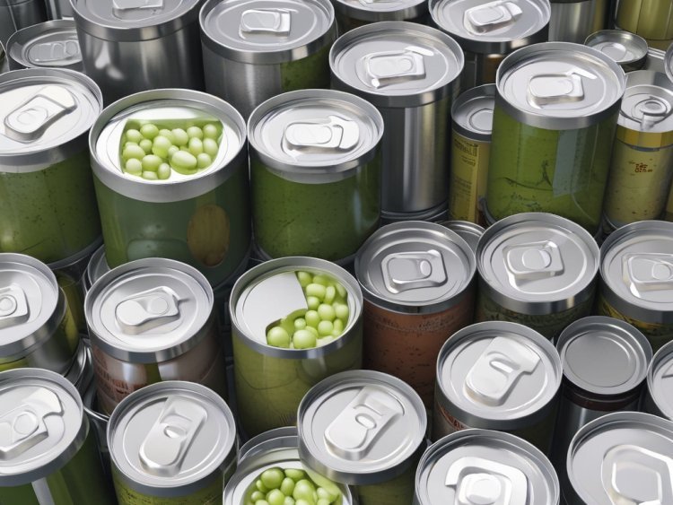 Canned Food Manufacturing Plant Project Report 2025: Industry Trends and Raw Materials