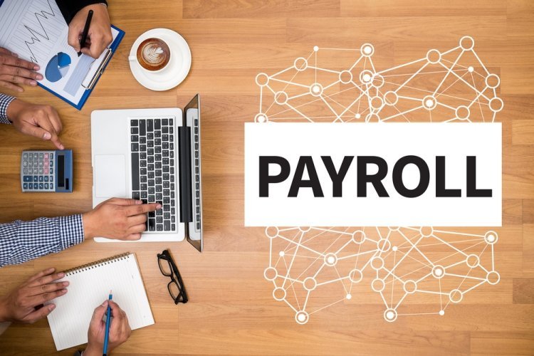 Best Free Payroll Software in India for Small Businesses