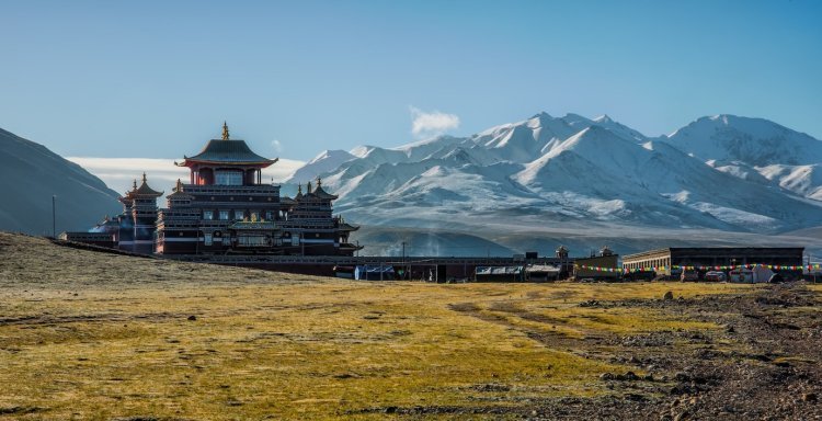 Popular National Parks in Sikkim: A Guide to Nature’s Wonders